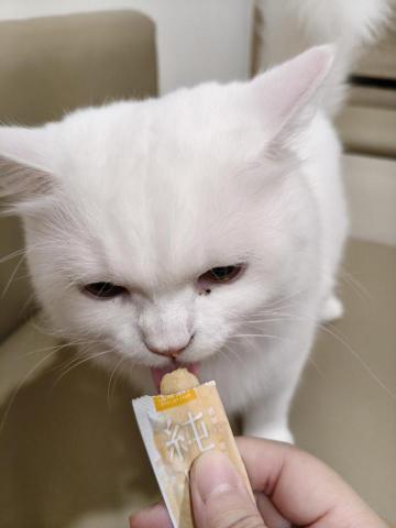 周喵喵個人整潔室 -  周喵喵個人整潔室 -