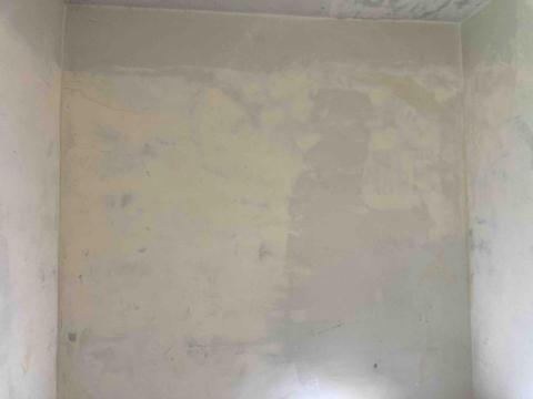 林先生 - 壁癌處理