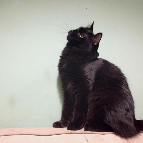 提供制服服務的專家劉維