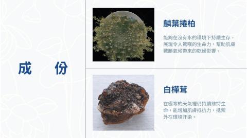 襪吉 - 簡報內容