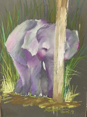 郭曉君 - 你看不見我、你看不見我