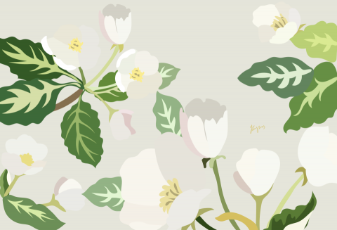 小工坊 - 比較喜歡畫花草樹葉