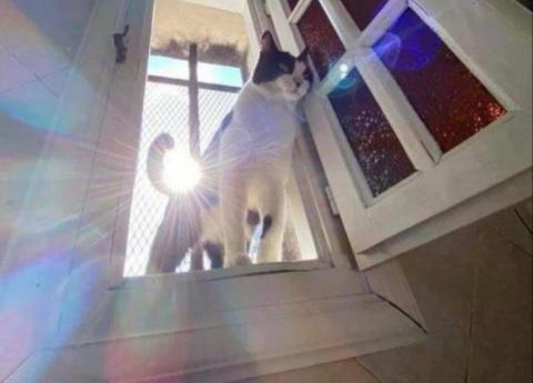 Magi - （從專家檔案裡探出頭找學生的我）