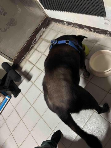 陳靖蕙 - 大哥吃的真開心?