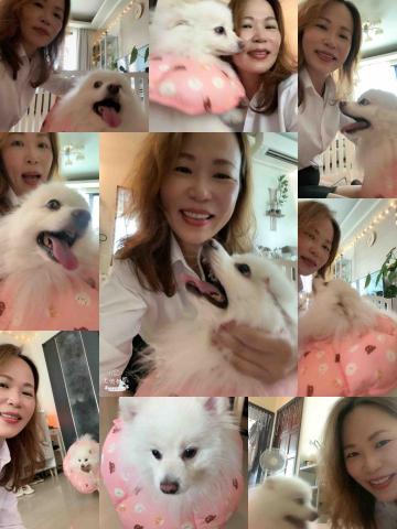 賴秀珊 - 居家到服服務-麻糬 賴秀珊 - 居家到服服務-麻糬