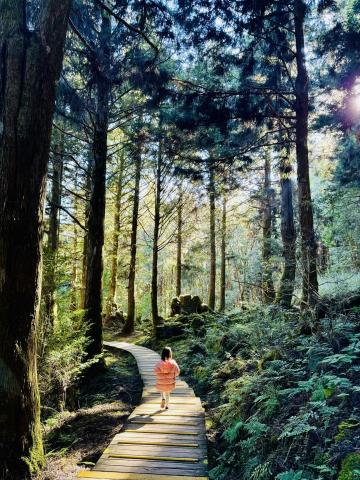 歐摩 | Oh Mo - 宜蘭太平山｜森林的女孩｜2023攝影