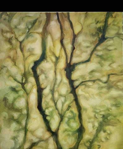 林彥妤 -  林彥妤 -