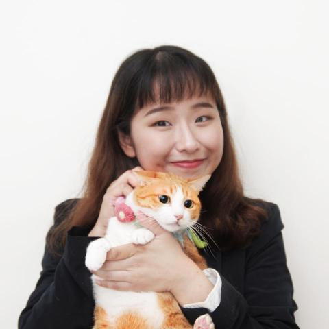 提供行銷公司名片服務的專家沛榆Nimo