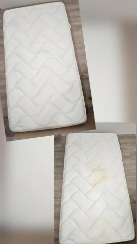 清潔先生 - 尿漬清除與除臭