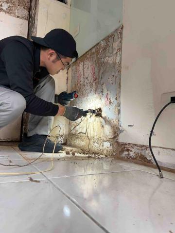 傑出專業除蟲工作室-專業除白蟻服務 - 白蟻防治