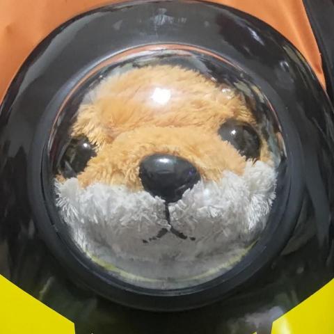 球球狐家庭代工 球球狐家庭代工