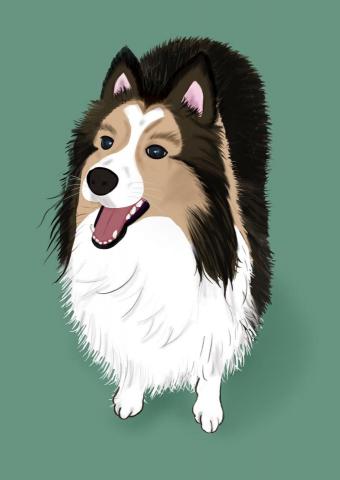 珍珠の設計 Pearl Design - 插畫-動物作品