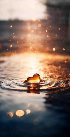 提供和美服務的專家蕥