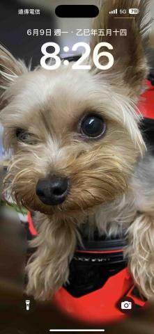 提供牆面服務的專家瀚彩職人