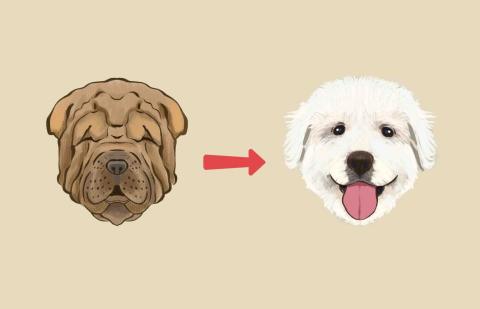 王思驊 - 社群合作