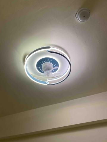 綵稼造型燈飾 - 360度擺頭風扇燈