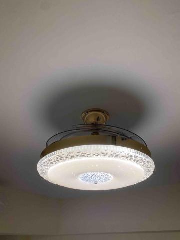 綵稼造型燈飾 - 隱形吊扇燈