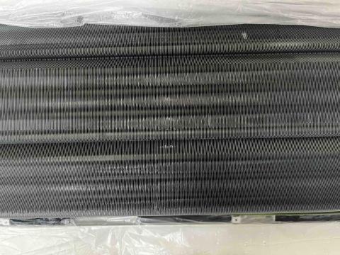 彭靖揚 - 蒸發器清潔