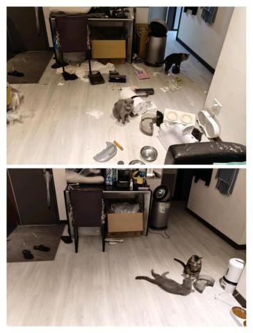 周喵喵個人整潔室 -  周喵喵個人整潔室 -