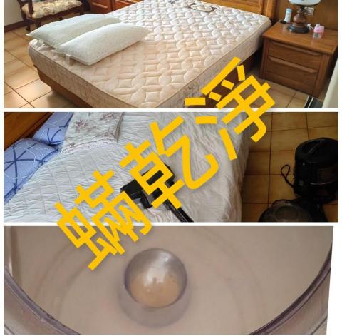 蟎乾淨-國際過敏認證有效移除過敏源 - 