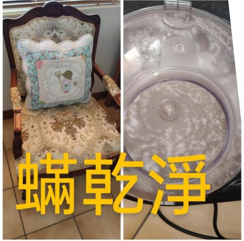 蟎乾淨-國際過敏認證有效移除過敏源 - 