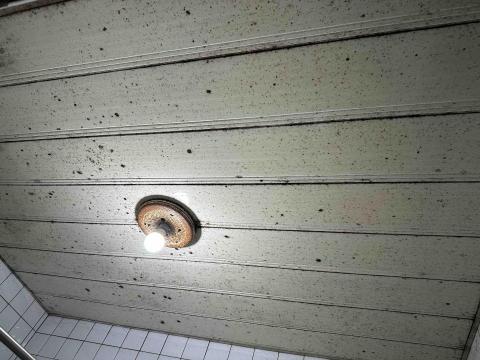 悠活/居家清潔/個人工作室 - 浴室天花除霉前