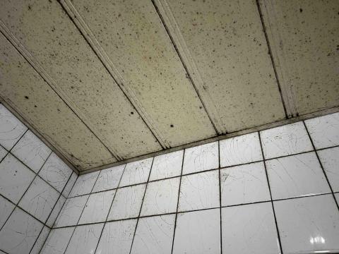 悠活/居家清潔/個人工作室 - 浴室天花除霉前
