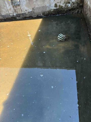 林昌遠 - 排水孔阻塞