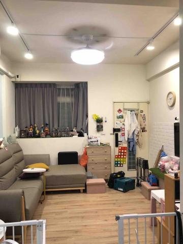 綵稼造型燈飾 - 軌道燈&隱形吊扇燈