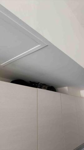 橘子🍊 - 容易害羞的孩子