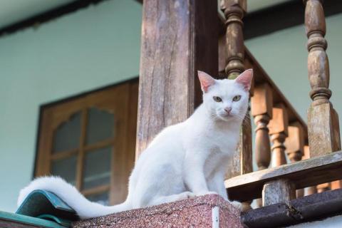 提供360達人服務的專家Noah