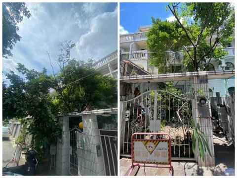 王勇勝 - 南屯區樹木修剪