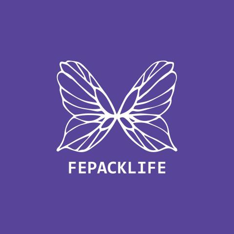 提供編髮夾服務的專家設計打包半編