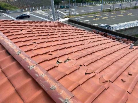 頂漆工程 -  頂漆工程 -