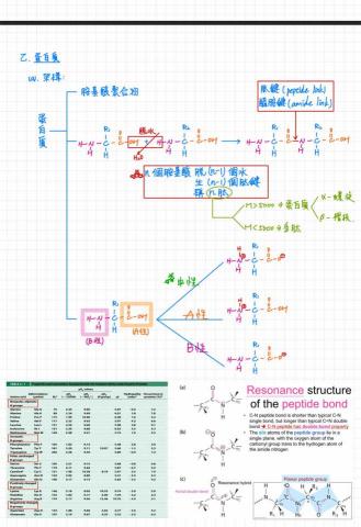 張宸浩 - 手寫筆記