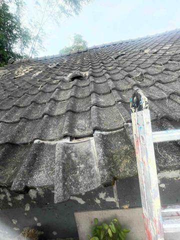 頂漆工程 -  頂漆工程 -