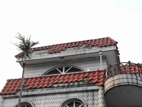 頂漆工程 -  頂漆工程 -