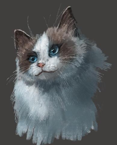 🎨 Ann‘s Studio 🖌️|繪畫工作室 -  🎨 Ann‘s Studio 🖌️|繪畫工作室 -