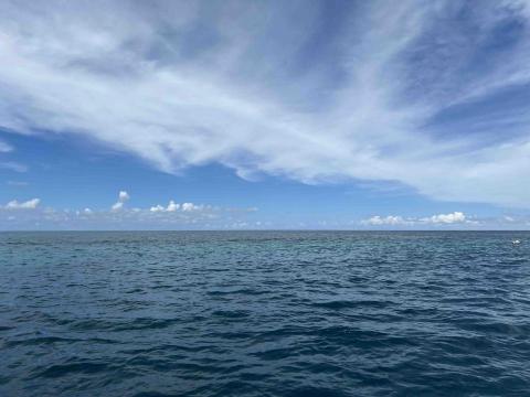 提供奧數教程服務的專家程淑娟