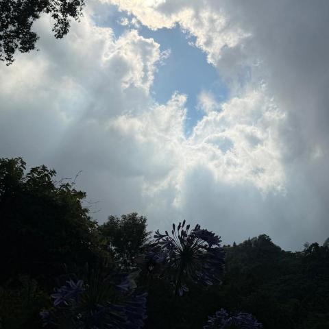 提供uiux服務的專家yun