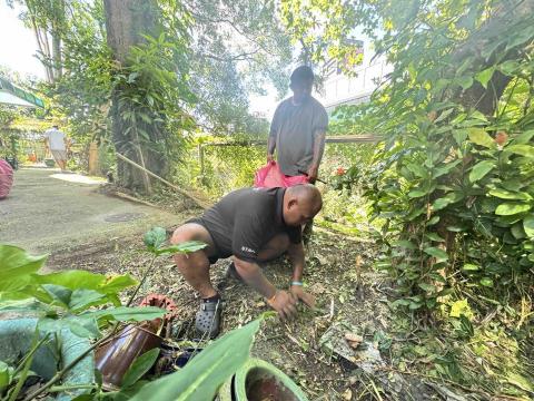 森光莊園Forest Light Gardening - 
