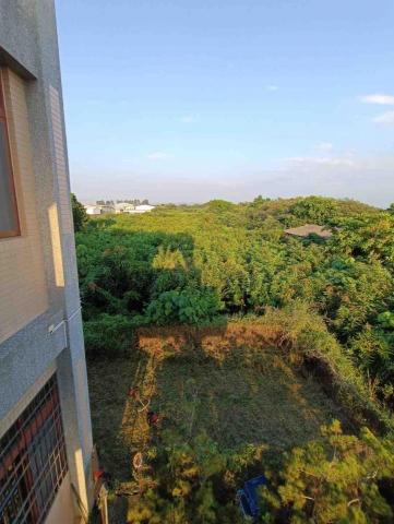 建堂環境工程行 - 農地除草