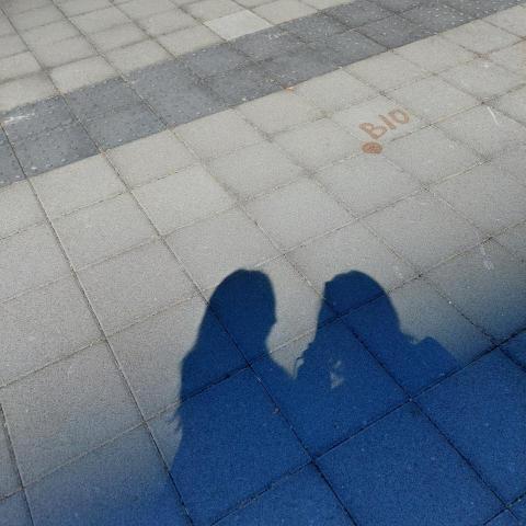 提供日式刺青圖服務的專家葳蕤繁星