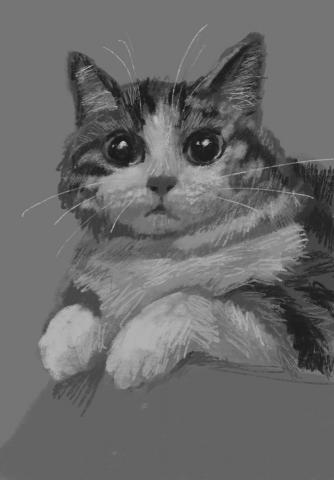 🎨 Ann‘s Studio 🖌️|繪畫工作室 -  🎨 Ann‘s Studio 🖌️|繪畫工作室 -