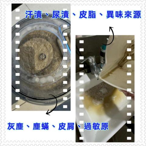 打擊蟎蟎安心清潔行丨床墊沙發除蟎專家｜到府服務｜寵物尿漬、小 - 