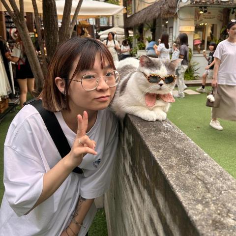 yu an Yang yu an Yang