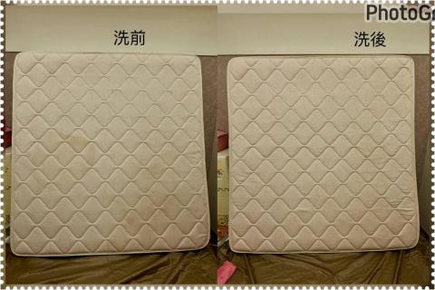 打擊蟎蟎安心清潔行丨床墊沙發除蟎專家｜到府服務｜寵物尿漬、小 - 