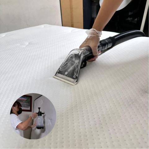 打擊蟎蟎安心清潔行丨床墊沙發除蟎專家｜到府服務｜寵物尿漬、小 - 