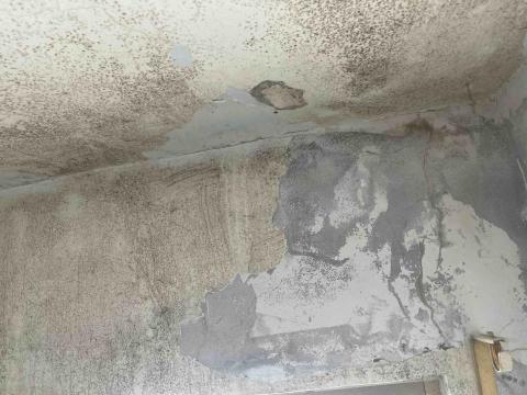 御皇實業工程行 - 壁癌油漆
前