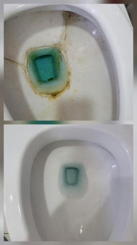 王嘉玲 - 馬桶清潔前後